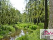 Siedlisko nad rzeką w pobliżu Gostynina