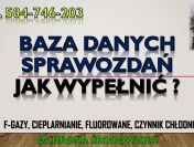 Sprawozdanie do Bazy Danych Sprawozdań, cena tel. 504-746-203. Obsługa firmy