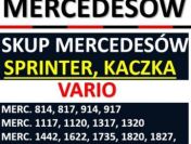 Skup MERCEDESÓW: Sprinter, Kaczka, Varo, Actros i inne MERCEDESY.