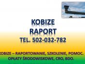 Raport do Kobize, cennik tel. 502-032-782. Zgłoszenie firmy, zakładu