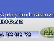 Wykaz opłat środowiskowych, tel. 502-032-782 sprawozdanie, cennik,
