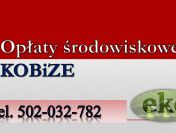 Sprawozdanie z ochrony środowiska, tel. 502-032-782, Cennik