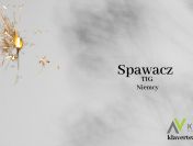 Spawacz TIG - Niemcy, Lüneburg
