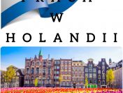 Pakowanie sałatek - Holandia
