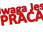 PRACA W LOGISTYCE – HOLANDIA