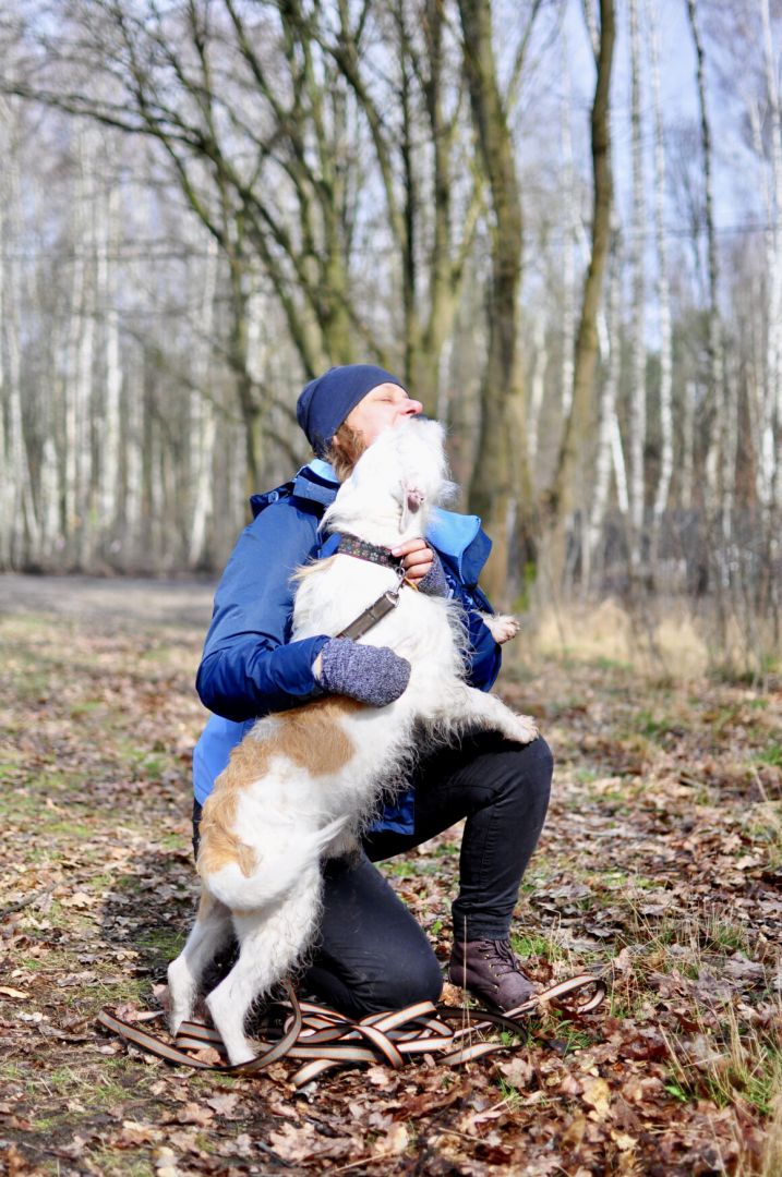 Nero - wyjątkowy pies szuka kochającego domu!  - Obraz nr 2