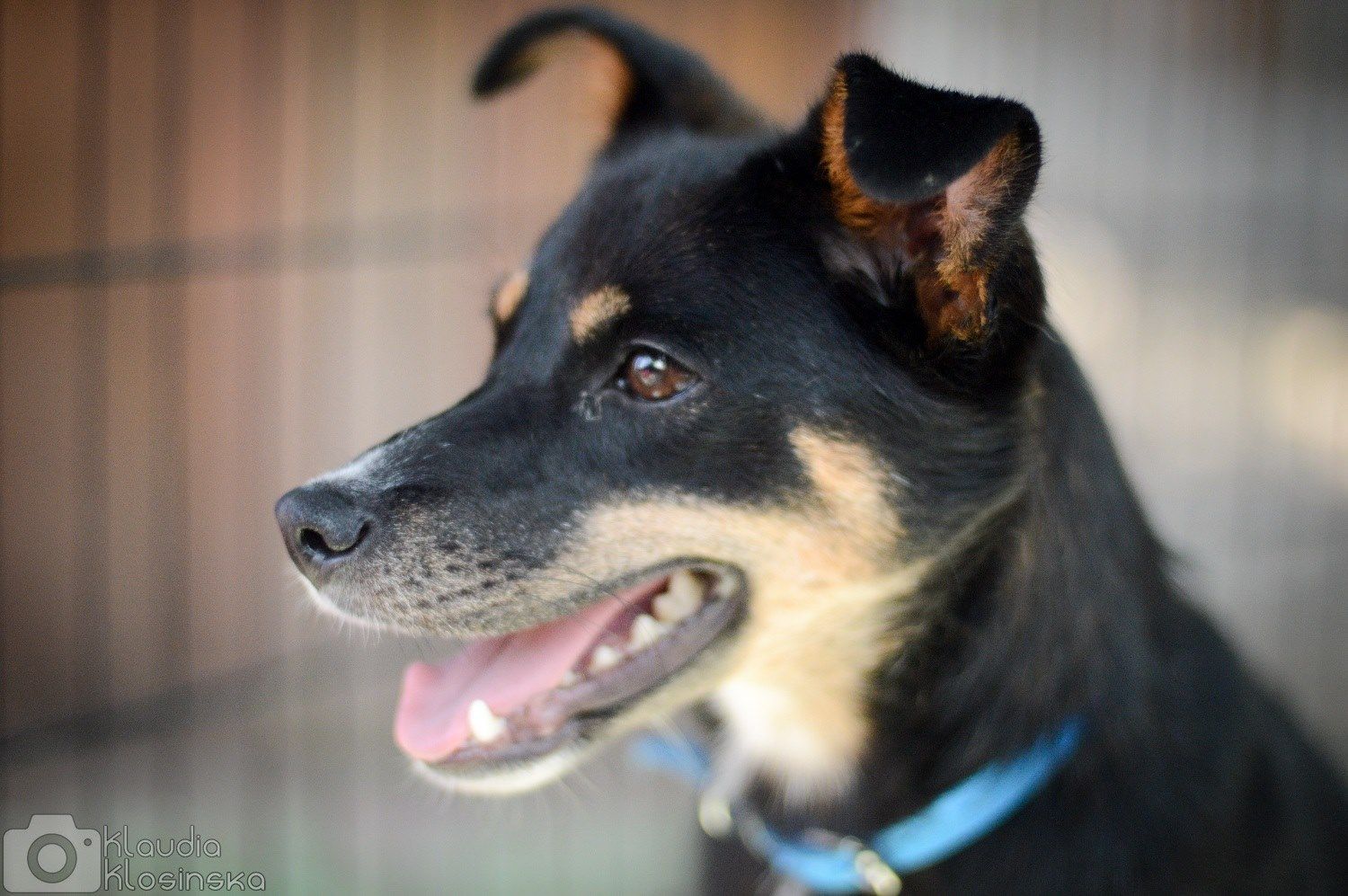 Natka - mała wojowniczka o wielkim sercu!  - Obraz nr 2