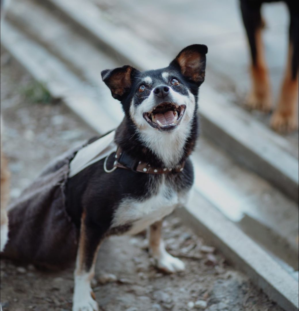 Natka - mała wojowniczka o wielkim sercu!  - Obraz nr 3