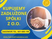 Skup Zadłużonych Spółek – Szybka Sprzedaż Firm z Problemami Finansowymi