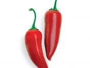 Szukam na stały układ - dziki seks 😇