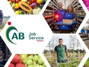 Pracownik utrzymania zieleni miejskiej – praca w Holandii (M/K)