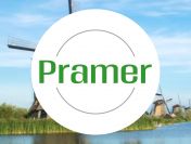 Pracownik magazynu - kompletowanie zamówień | jedna zmiana - praca w Holandii