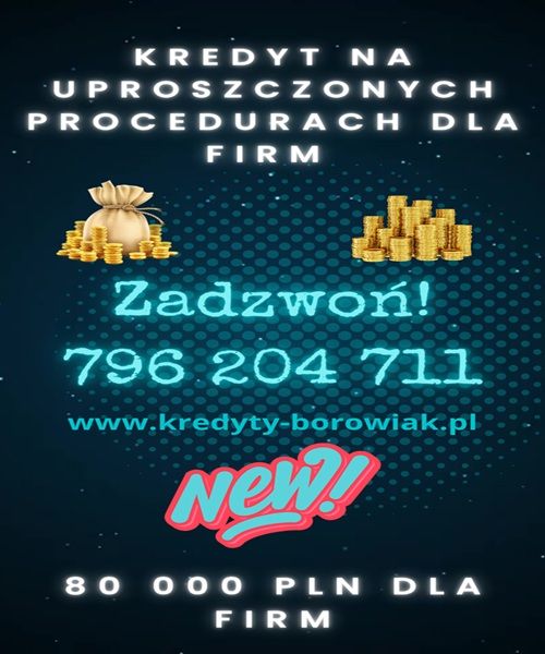 KREDYT DLA FIRM DO 80 000 PLN NAWET PRZY STRACIE! Toruń - Zdjęcie 1