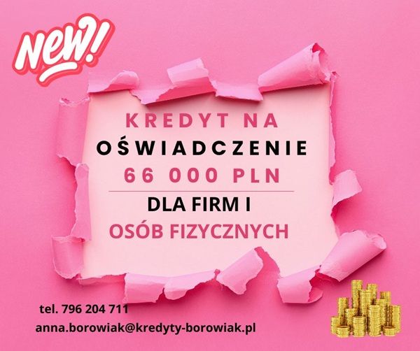 KREDYT DLA FIRM I OSÓB FIZYCZNYCH NA OŚWIADCZENIE DO 66 000 ZŁ! Toruń - Zdjęcie 1