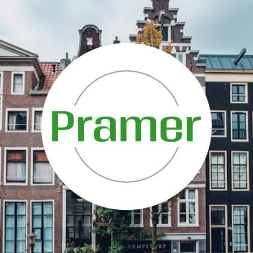 Pracownik przy zbiorze pieczarek - praca w Holandii Oudemolen - Zdjęcie 1