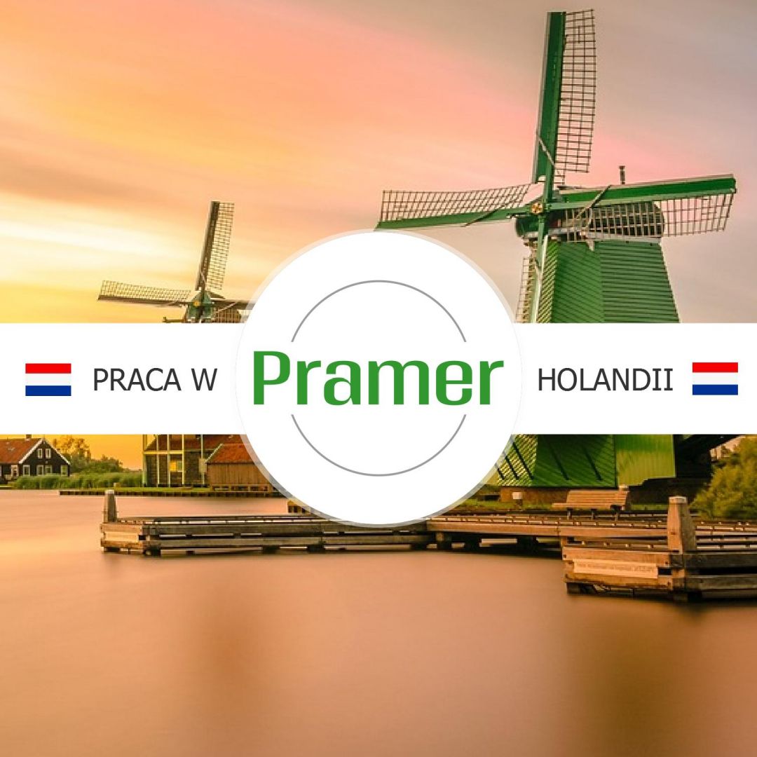 Pracownik produkcji / działu ekspedycji - praca w Holandii Ommel - Zdjęcie 1