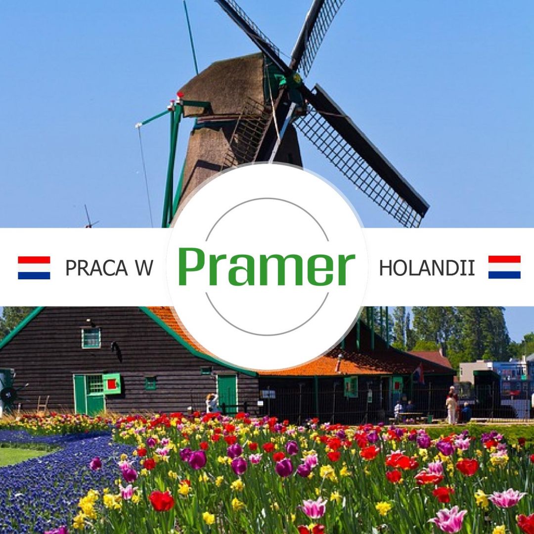 Pracownik produkcji filetów z kurczaka  - praca w Holandii Soest - Zdjęcie 1