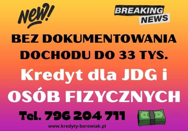 KREDYT DLA JDG I OSÓB FIZYCZNYCH BEZ DOKUMENTOWANIA DOCHODU! Toruń - Zdjęcie 1