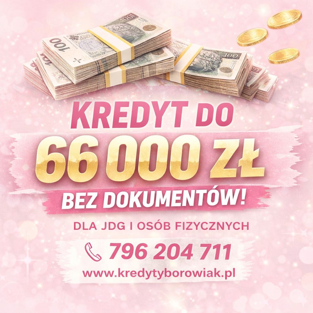 KREDYT DLA JDG I OSÓB FIZYCZNYCH BEZ DOKUMENTOWANIA DOCHODU! Toruń - Zdjęcie 1