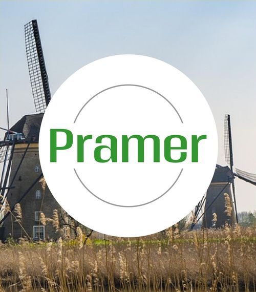 Pracownik zbioru papryki - bez znajomości języka - praca w Holandii  - Zdjęcie 1