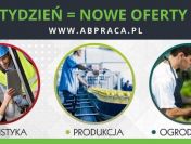 Pracownik / Pracowniczka logistyki– praca w Holandii (M/K)